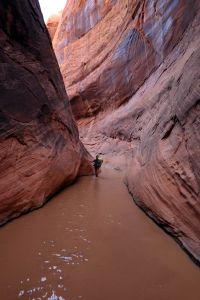 Tůně ve Fiftymile Canyonu.